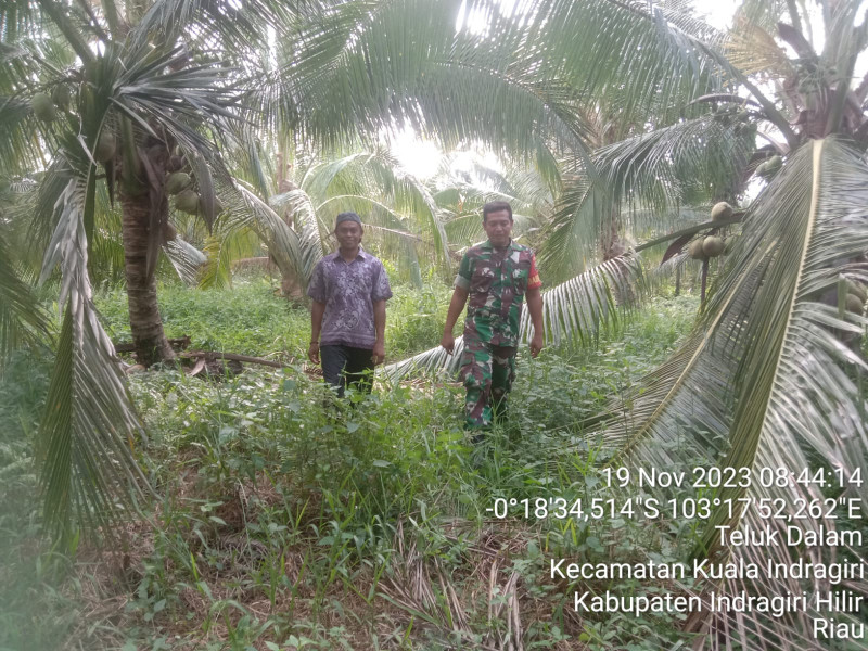 Babinsa Koramil 04/Kuindra Rutin Lakukan Patroli Karhutla Bersama Masyarakat Desa Binaan