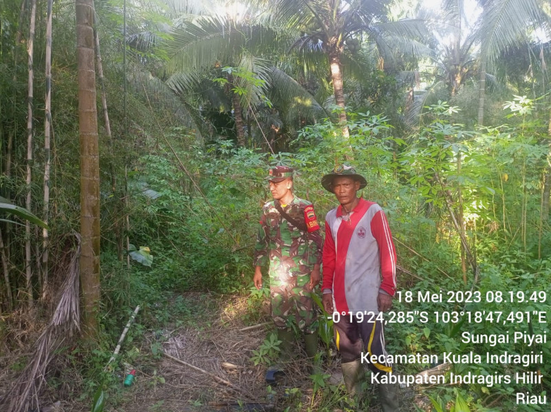 Babinsa Koramil 04/Kuindra Jaga Lahan dan Hutan Demi Lingkungan Sekitar