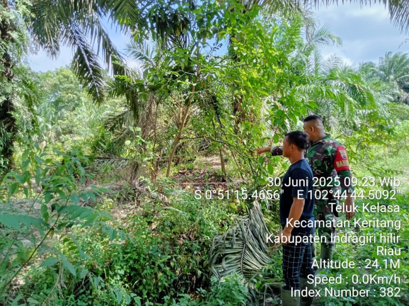 Babinsa Koramil 09/Kemuning Lakukan Patroli Karhutla di Desa Teluk Kelasa