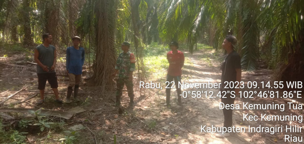 Babinsa Koramil 09/Kemuning Rutin Mensosialisasikan Pencegahan Lahan dan Hutan Bersama Warga