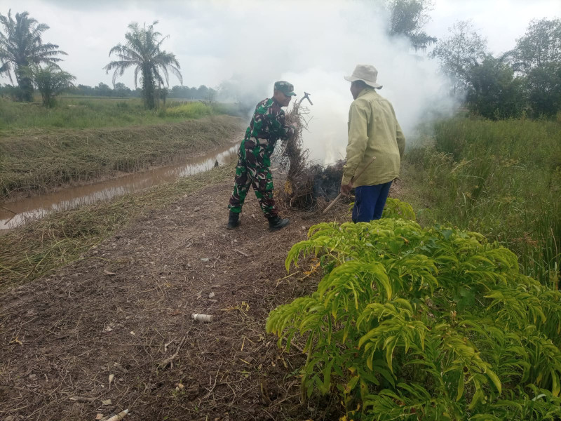 Babinsa 03/Tpl Bantu Petani Bersihkan Lahan Sawah