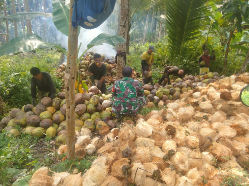 Babinsa koramil 05/Gas Serda Rudi Hartono Komsos Dengan Petani Kelapa, Berikan Semangat Dan Motivasi