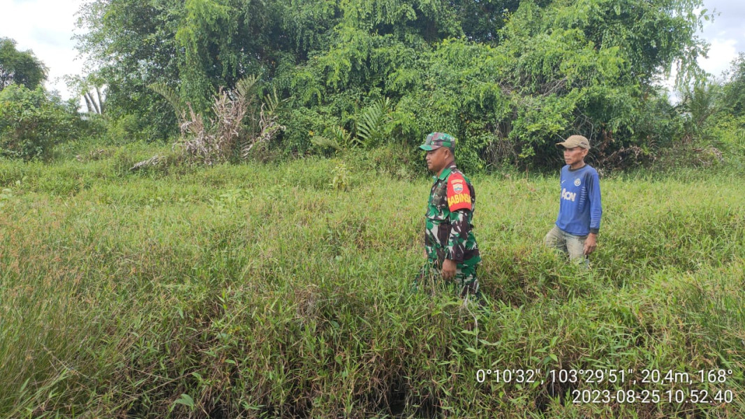 Telusuri Hutan dan Lahan, Babinsa Koramil 10/Pelangiran Terus Pantau Titik Api