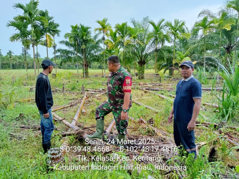 Babinsa Koramil 09/Kemuning Melakukan Patroli Karhutla, Mencegah Kebakaran Hutan dan Lahan