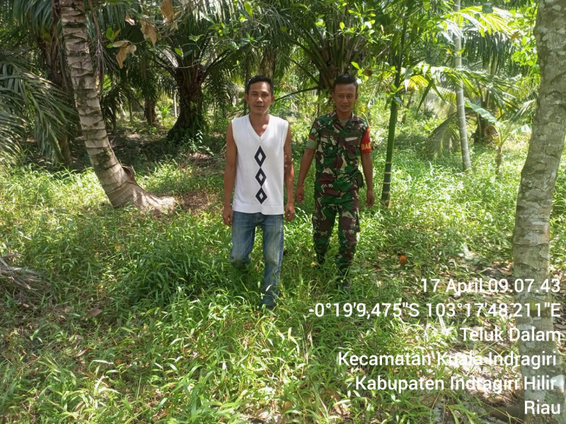 Babinsa Koramil 04/Kuindra Turun Ke Wilayah Adakan Patroli Rutin