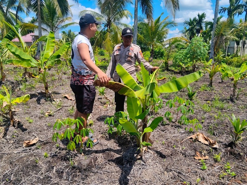 Bersama Kita Kuat, Bersama Kita Tanam: Di Kuala Lahang, Polisi dan Petani Menyatu Demi Negeri yang Makmur