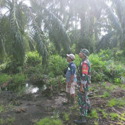 Babinsa Koramil 04/Kuindra Bersama Petani Kelapa Terus Lakukan Patroli