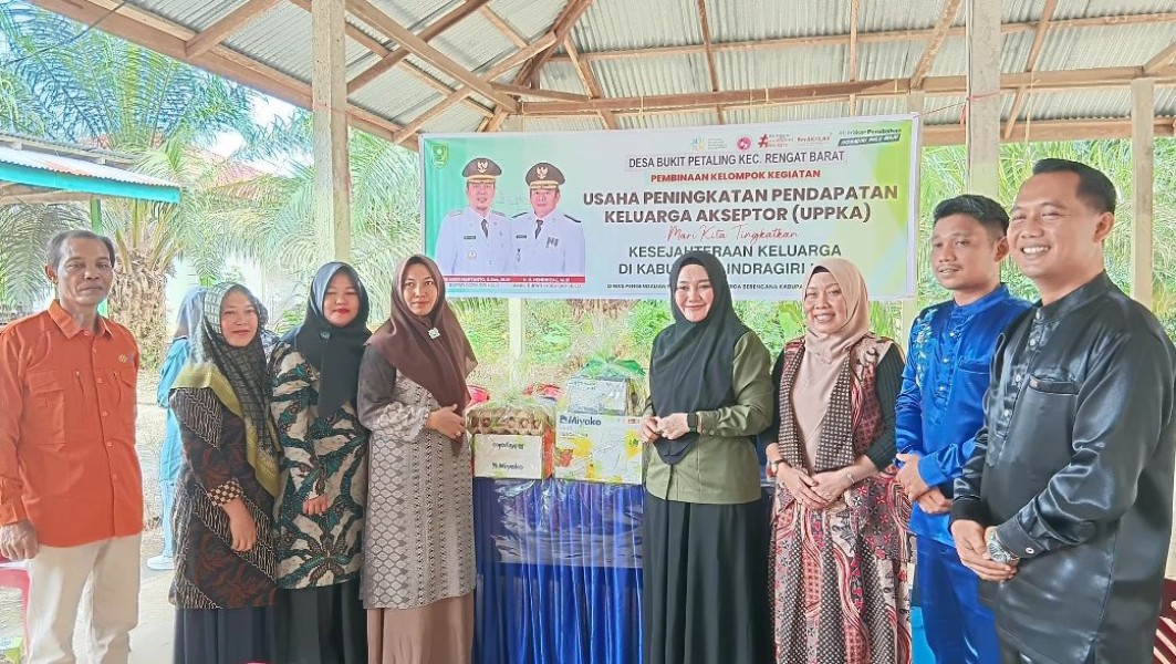 DPPKB Inhu Gelar Pembinaan Kader UPPKA di Desa Bukit Petaling, Ini Tujuannya