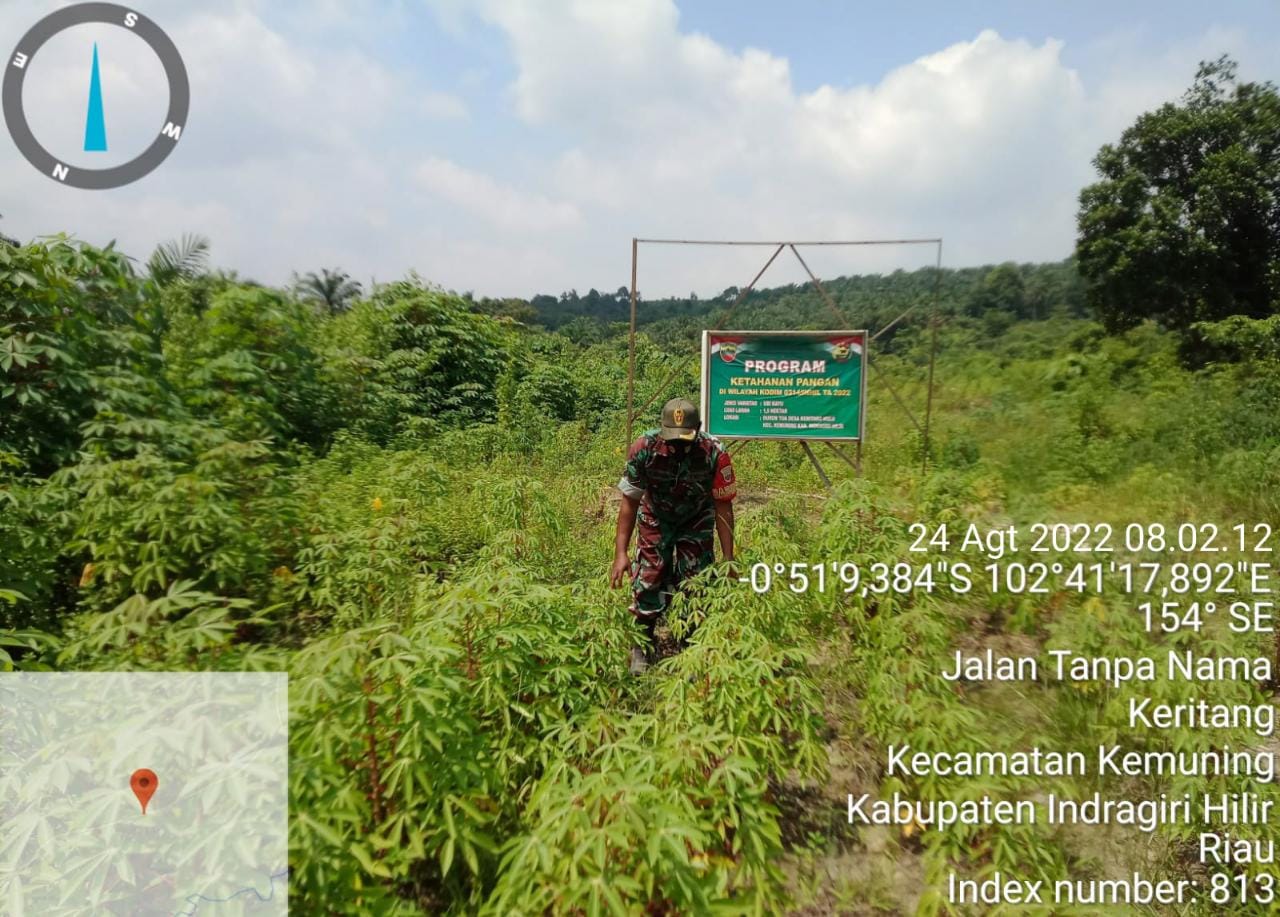 Giat Kegiatan Penanaman Ketahanan Pangan Oleh Koramil 09/Kemuning Bersama Warga Binaan