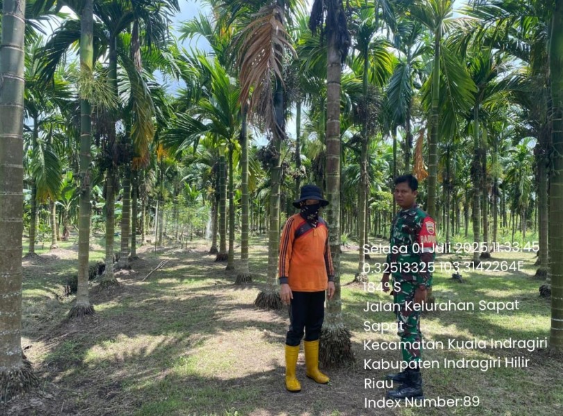 Babinsa Koramil 04/Kuindra Lakukan Patroli dan Sosialisasi Karhutla Secara Rutin di Kelurahan Sapat