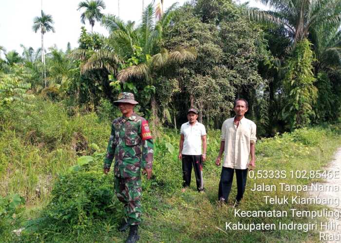 Dalam Patroli Karhutla, Babinsa Koramil 03/Tpl Katakan Tidak Temukan Titik Api
