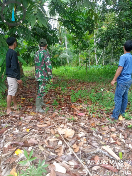 Sosialisasi Karlahut, Babinsa Koramil 09/Kemuning Ke Wilayah