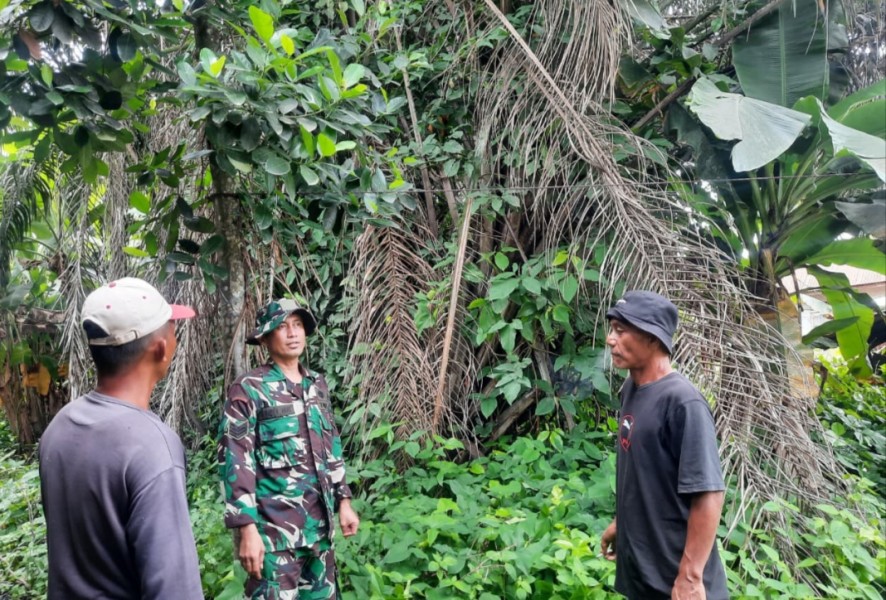Serma A Manik Laksanakan Patroli Tapal Batas untuk Antisipasi Kebakaran Hutan