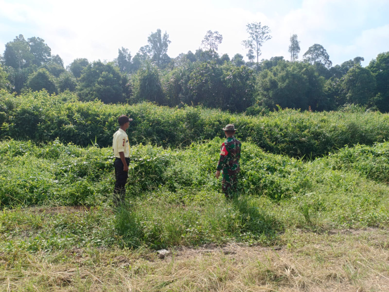 Rutin Laksanakan Patroli Konsesi Mitigasi Bhabinsa 05/Gas di Dampingi Langsung Masyarakat dan Security