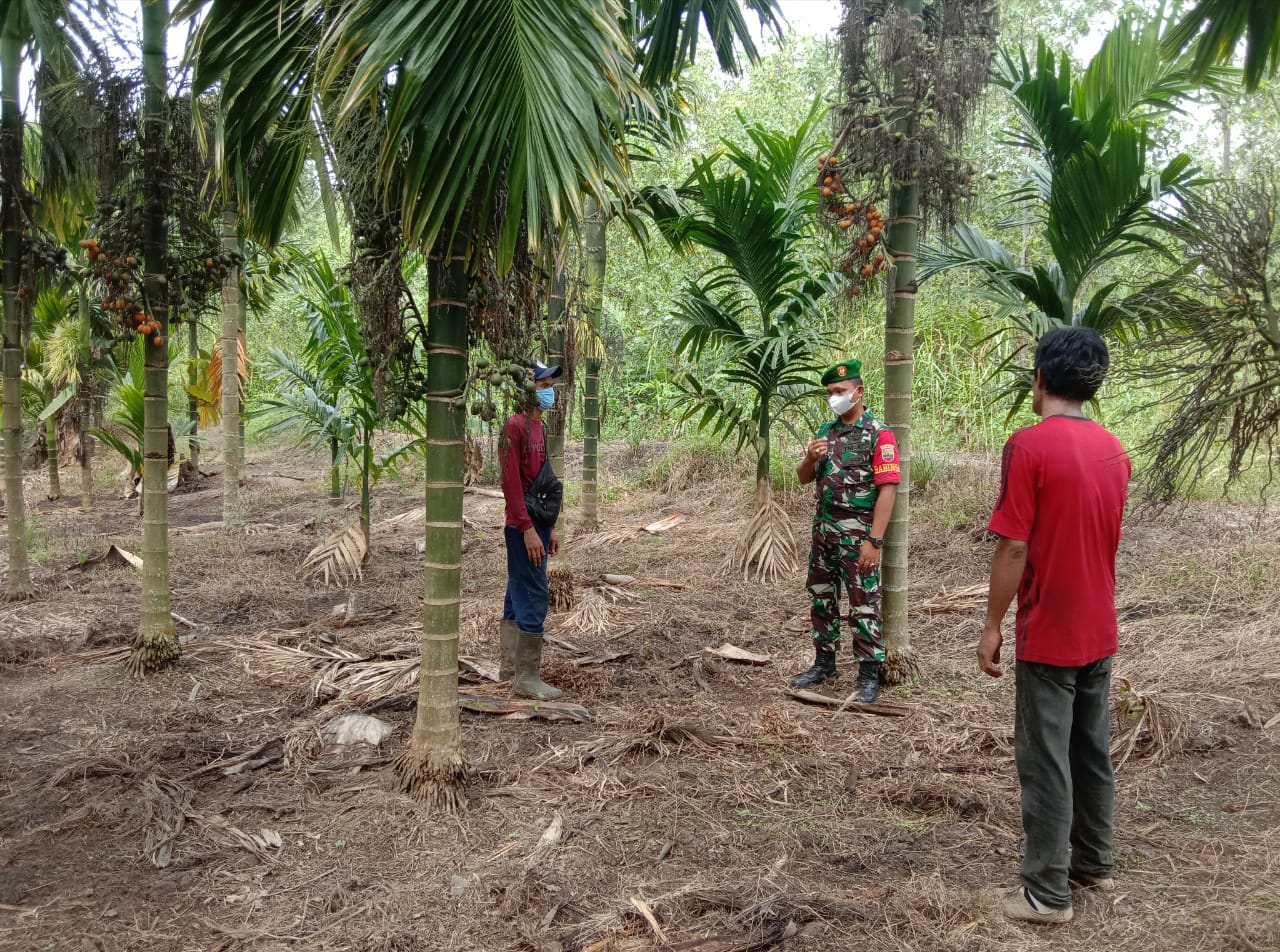 Himbauan Terhadap Warga Agar Tidak Membuka Lahan Sembarangan Oleh Serda Ronal Manalu