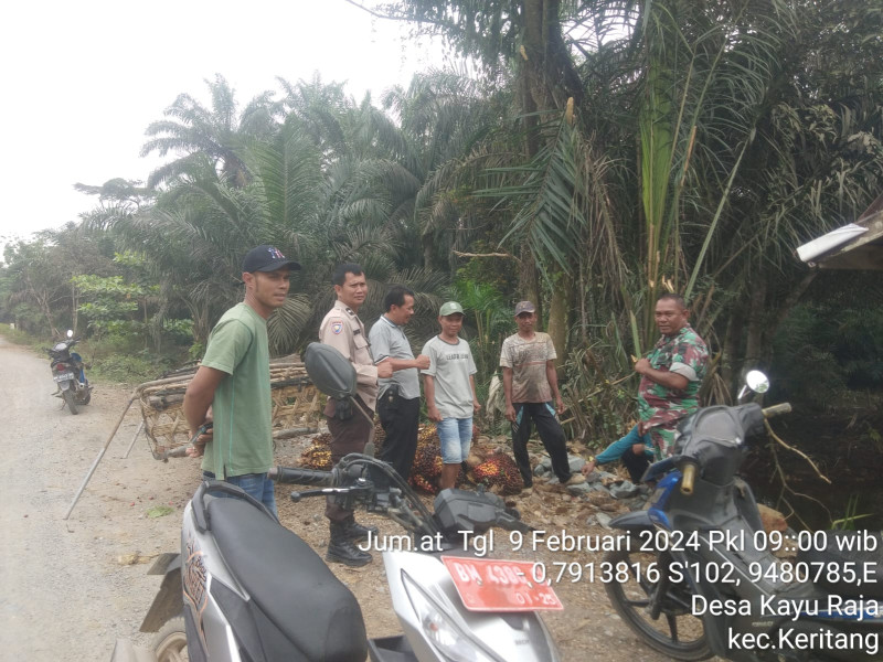 Babinsa Koramil 09/Kmg Bersama Masyarakat Petani Sawit Jalin Hubungan Baik Antar Sesama