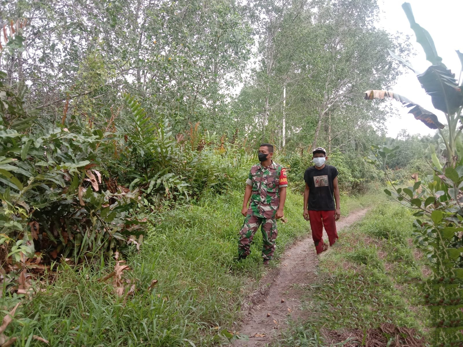 Terkait Lahan dan Hutan, Babinsa Koramil 04/Kuindra Turun Ke Wilayah