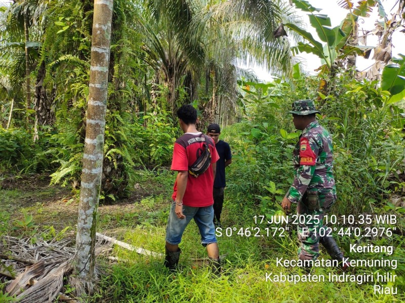 Patroli Karlahut di Wilayah Koramil 09/Kmng Hari Ini Tidak Ditemukan Titik Api dan Asap