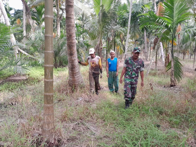 Pelda Nofiandi Pimpin Patroli Tapal Batas di Parit Ban Metro, Hasil Nihil Titik Api
