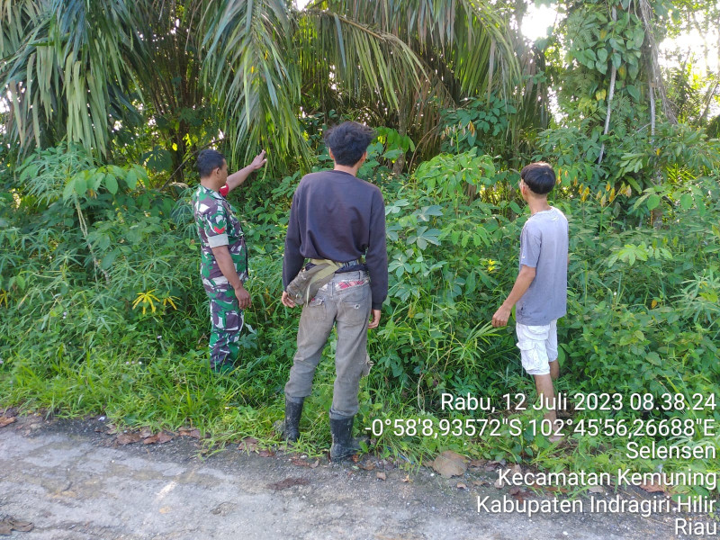 Babinsa Koramil 09/Kemuning Tetap Turun Ke Wilayah Guna Lakukan Patroli Rutin Karlahut