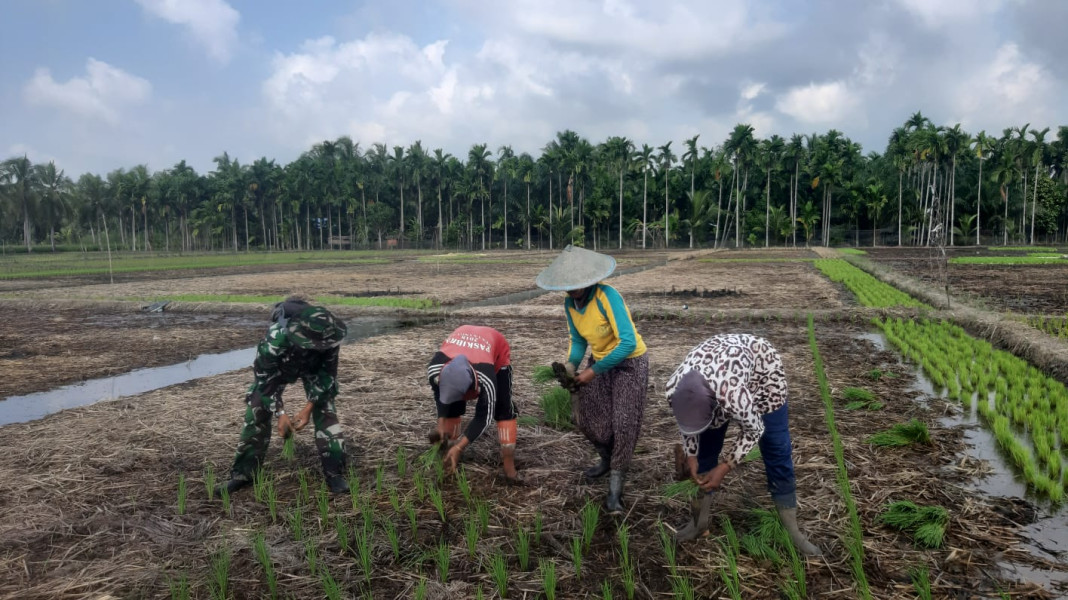 Babinsa Koramil 07/Reteh Tingkatkan Hasil Pertanian Kelompok Tani