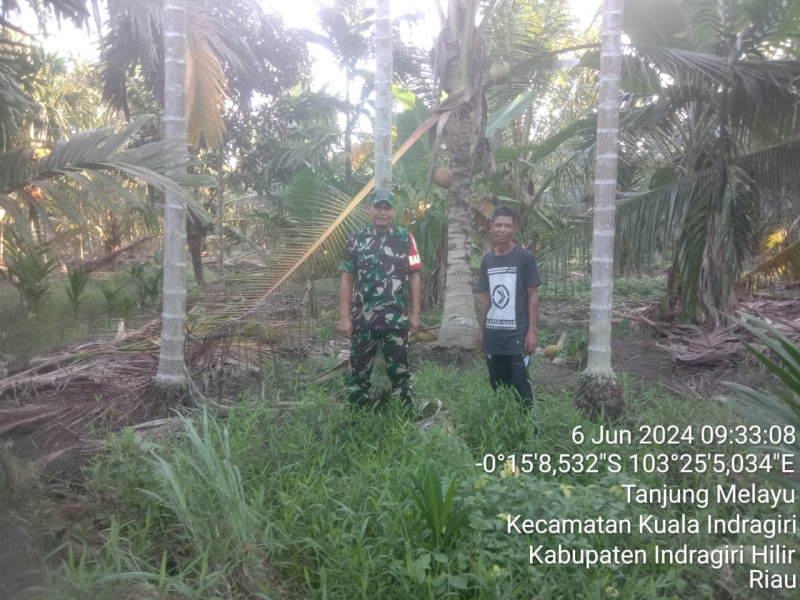 Babinsa Koramil 04/Kuindra Cegah Kebakaran Hutan dan Lahan Melalui Patroli Rutin