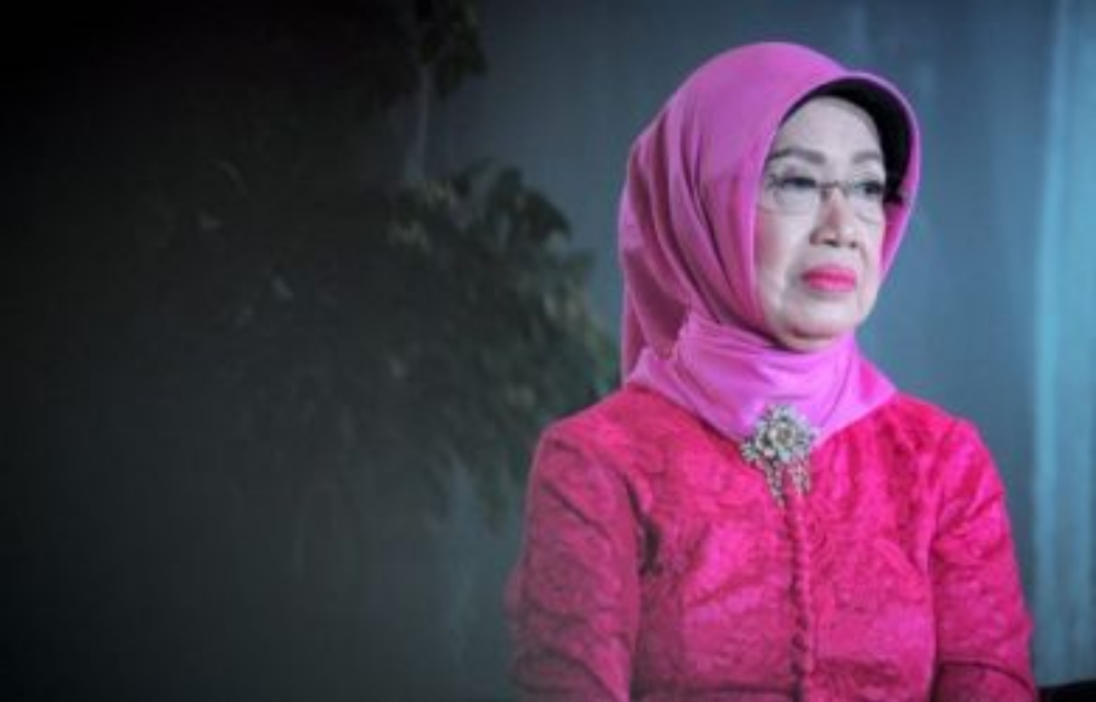 Ibunda Jokowi Meninggal Dunia, Ini Penjelasan Jubir Presiden