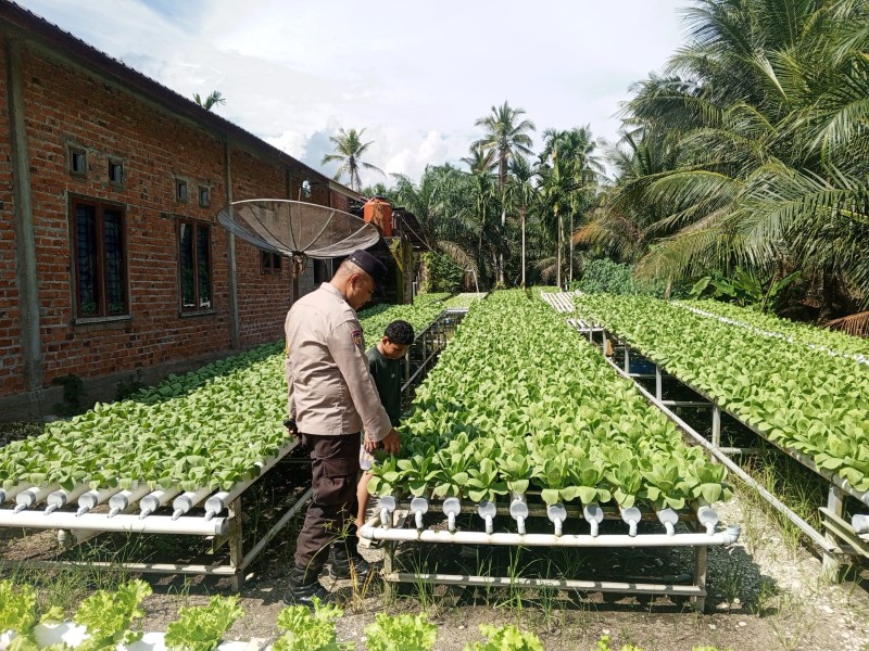 Polsek Keritang Turun Ke Lahan Warga: Ketahanan Pangan Bergizi Jadi Fokus Bhabinkamtibmas