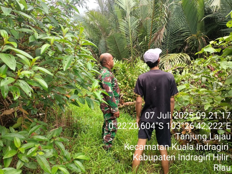 Patroli Karhutla di Wilayah Koramil 04/Kuindra, Babinsa Pastikan Situasi Aman dan Terkendali