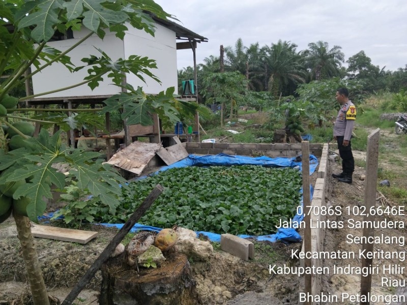 Bhabinkamtibmas Polsek Keritang Turun ke Lapangan, Edukasi Warga Manfaatkan Lahan Kosong Untuk Tanaman Pangan