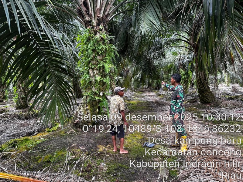 Babinsa Koramil 04/Kuindra Himbau Masyarakat Jaga Keamanan Wilayah Perbatasan
