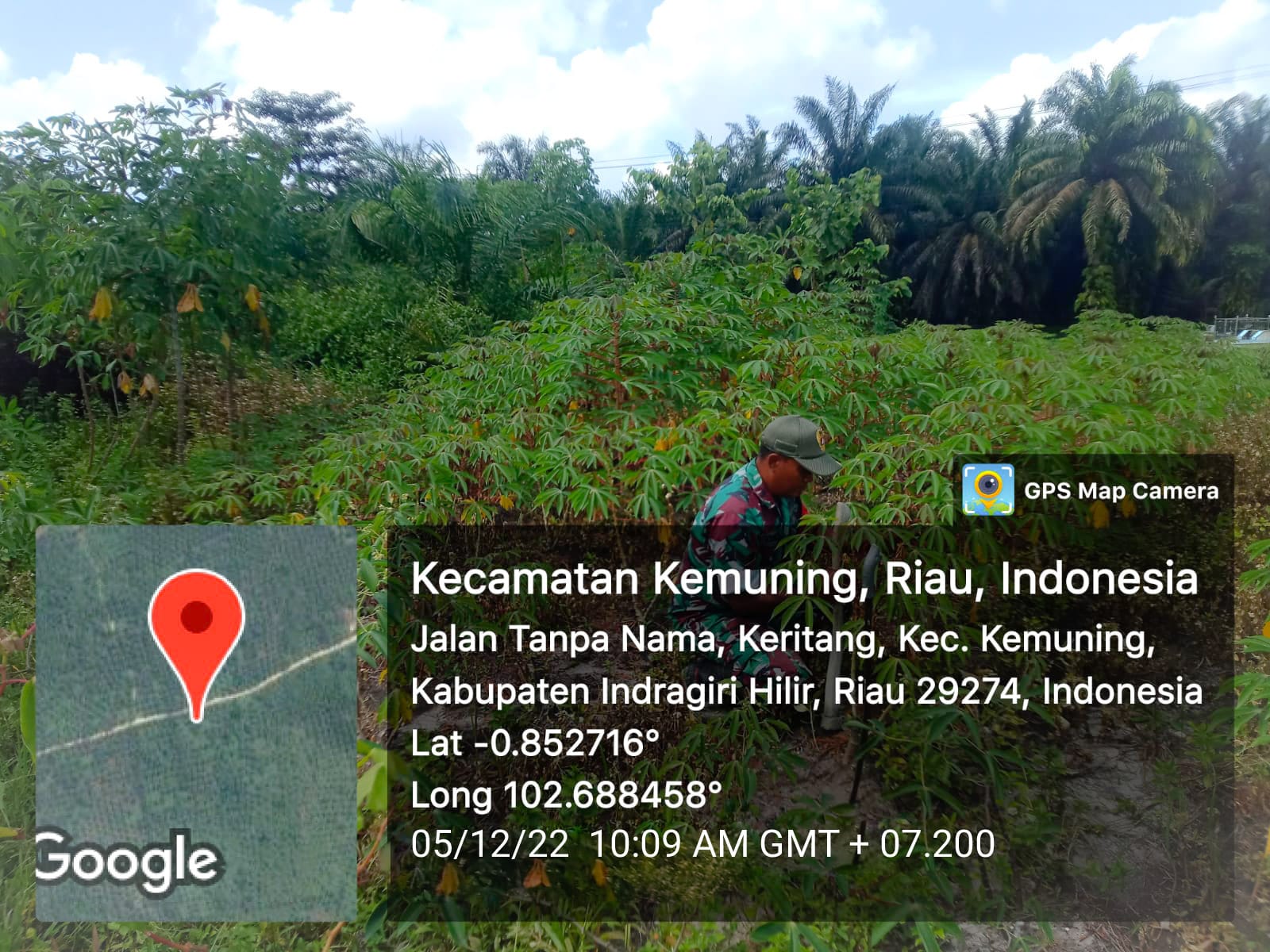 Upaya Pembersihan Gulma Bersama Babinsa Koramil 09/Kemuning