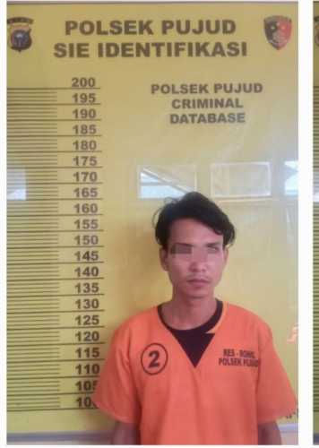 Seorang Pria Pengedar Sabu - Sabu Dirohil Tak Berkutik Saat Diringkus Polsek Pujud