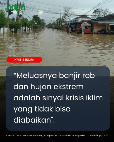 Krisis Iklim Pesisir Gambut Inhil Menguji Ketahanan Ekonomi Rakyat dan Kebijakan Daerah