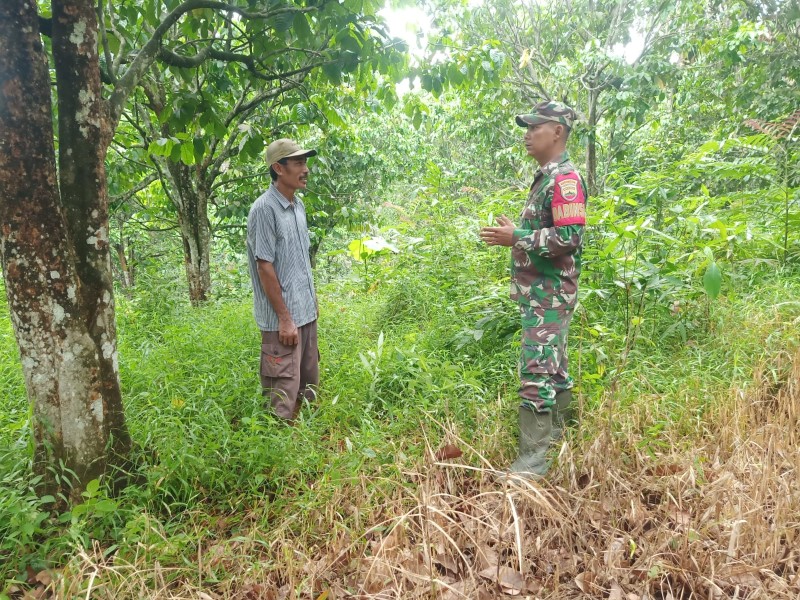 Babinsa Koramil 09/Kemuning, Serda Doni Munte Melaksanakan Patroli Karhutla di Desa Kembang Mekar Sari