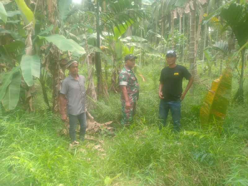 Patroli Tapal Batas, Upaya Meningkatkan Keamanan Wilayah di Wilayah Binaan Bebaskan dari Api dan Asap