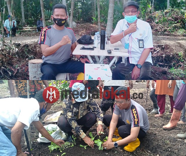 Guna Ketahanan Pangan Kampung Tangguh, Marlis Syarif Serahkan Bibit Sawi