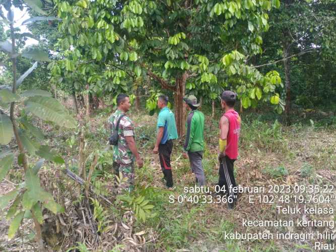 Tidak Dibenarkan Membuka Lahan Sembarangan Oleh Babinsa Koramil 09/Kemuning