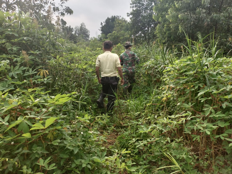 Bhabinsa Koramil 05/Gas Kodim 0314/Inhil Kopda Chandra Manto Gencar Lakukan Patroli Mitigasi Lahan Terbuka di Daerah Binaan