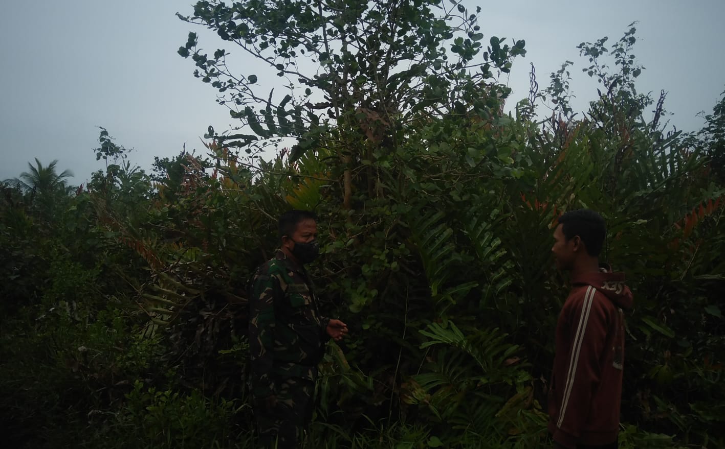 Himbauan Agar Masyarakat Tetap Menjaga Hutan dan Lahan Oleh Babinsa Koramil 04/Kuindra