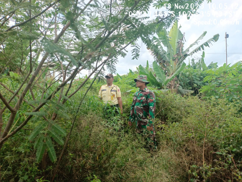 Babinsa 05/Gas Kopda Chandra Manto Gencar Laksanakan Patroli Hutan Dan Lahan di Wilayah Binaan