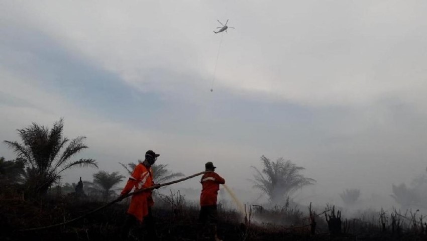 4 Wilayah di Riau Dikepung Asap Karhutla