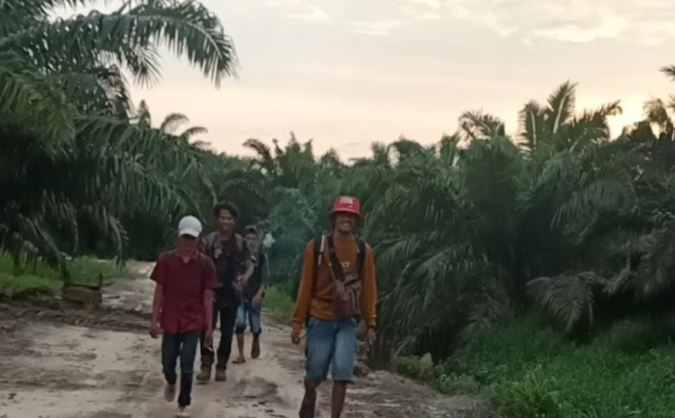 Dibandingkan Kerja Rodi, Buruh PT Alam Sari Lestari di Inhu Hadapi Penderitaan Tanpa Gaji