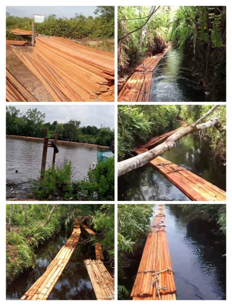 Kacau!! Penebangan Liar Di Meranti Tidak Ada Habis Nya