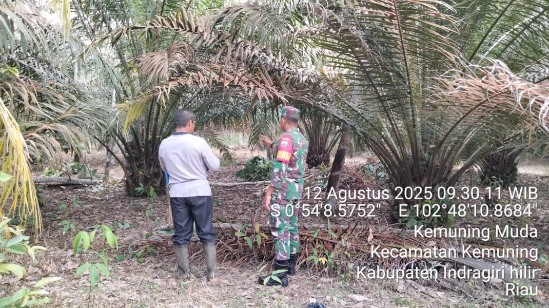 Babinsa Koramil 09/Kemuning Secara Rutin Patroli dan Sosialisasi Karhutla di Desa Kemuning Muda