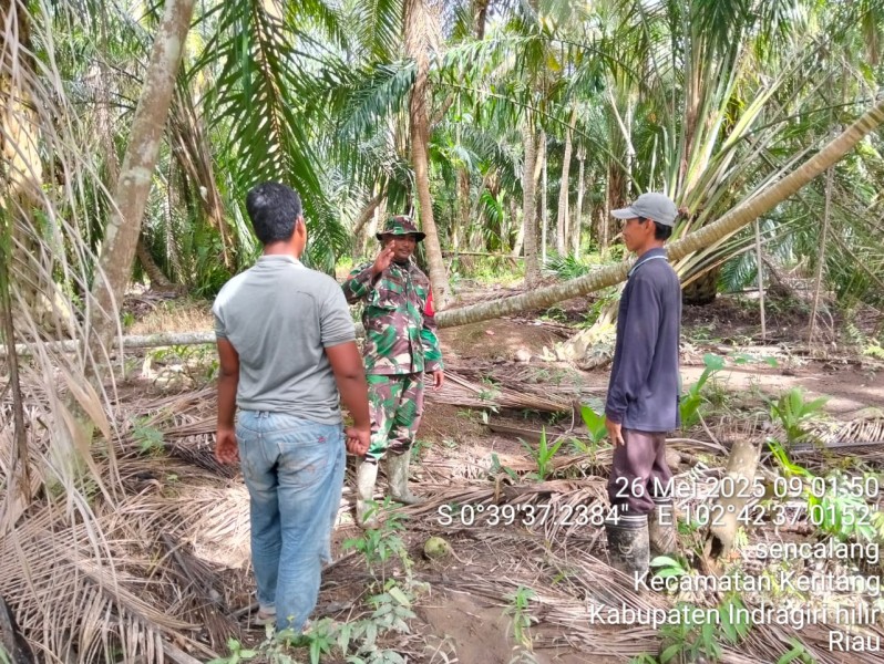 Babinsa Koptu Setiawan Harianto Laksanakan Patroli untuk Mencegah Karhutla