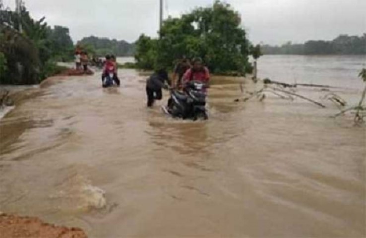 Karena Banjir, 65 Hektar Lahan Sawah di Inhu Gagal Panen