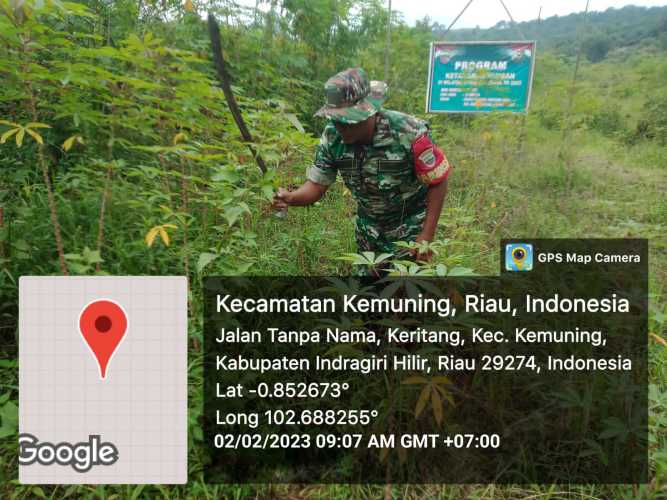 Koramil 09/Kemuning Terus Lakukan Upaya Untuk Gulma dan Tanaman Liar