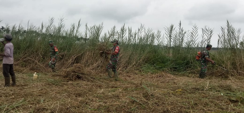 Babinsa 03/Tpl Bantu Petani Lakukan Penyiapan Lahan Tanam