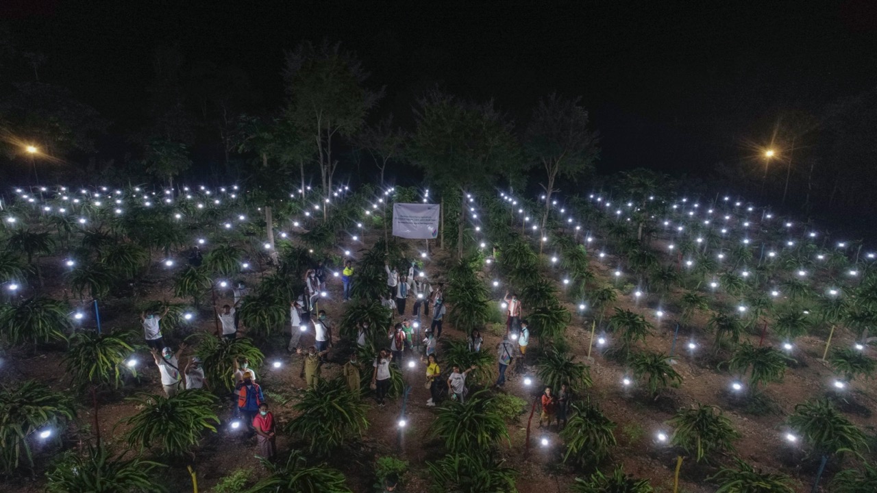 Kucurkan Rp 1,25 Miliar, PLN Gratiskan Biaya Sambung Listrik ke 1.373 Keluarga di Desa Terpencil 